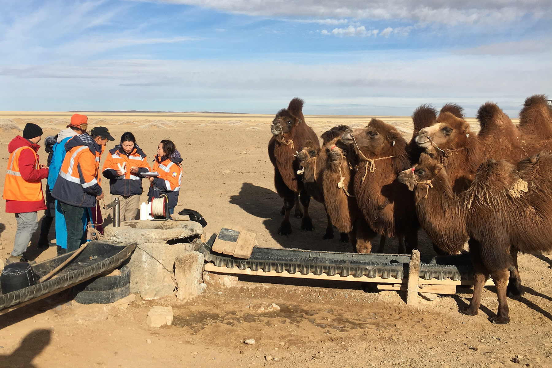 Data Rich and Information Poor: Increasing the Effectiveness of Data Disclosure in the Natural Resource Sectors