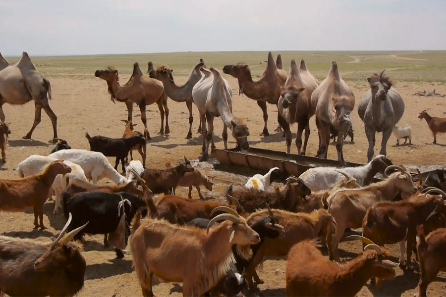 south-gobi-mon-overview