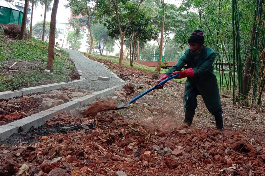 cities-facing-covid-19