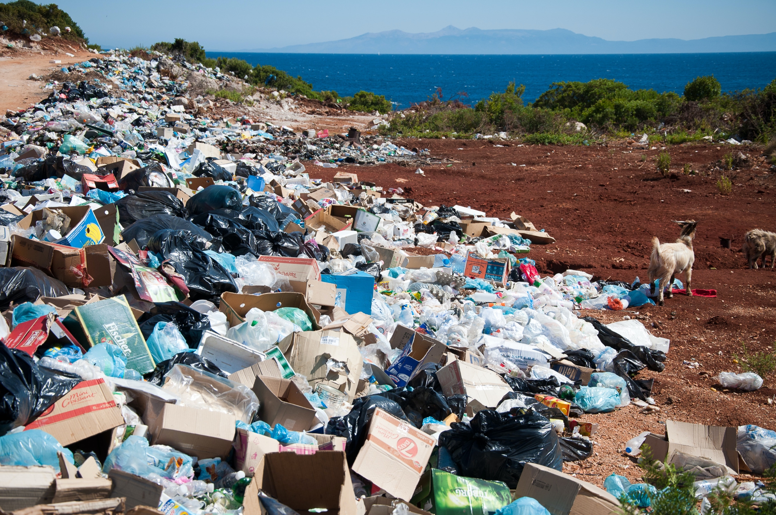 In COVID-era trash surge, waste management ingenuity, circularity, and investments are key