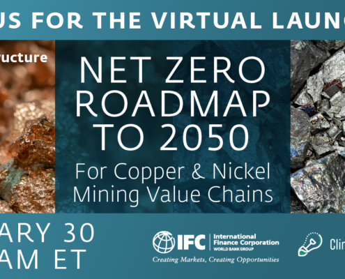 IFC Net Zero Roadmap Launch Event