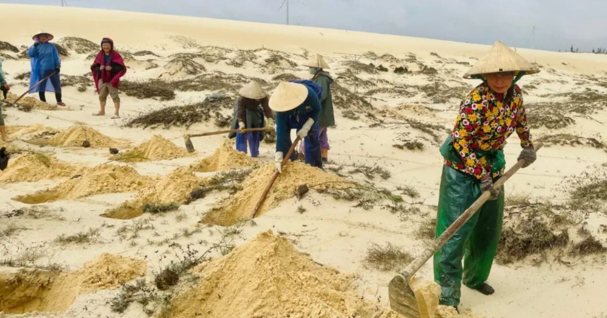 Integrating gender and social inclusion in nature-based solutions: a way forward