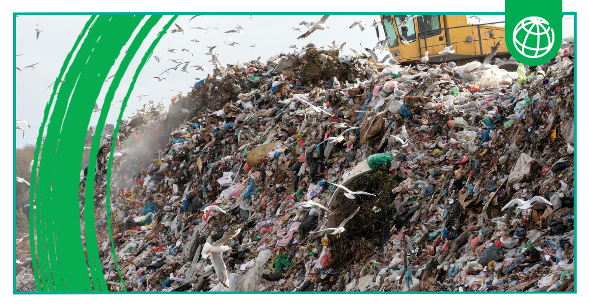 Belgrade’s Waste-to-Energy Project Sparks Environmental Renaissance