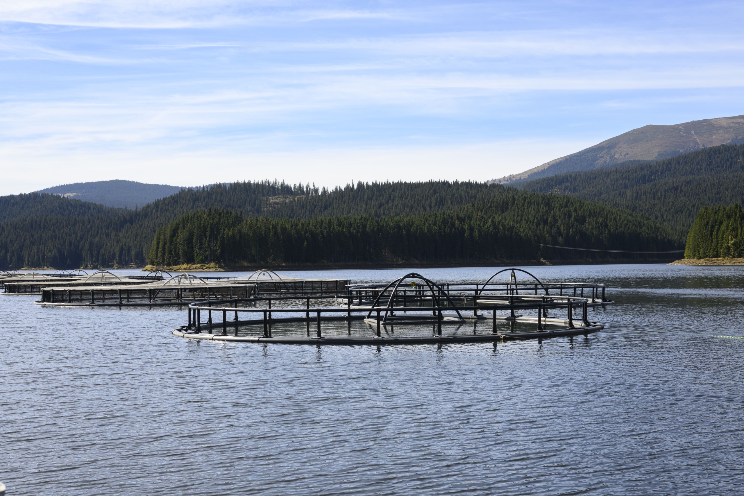 Romania’s Bold Blue Future