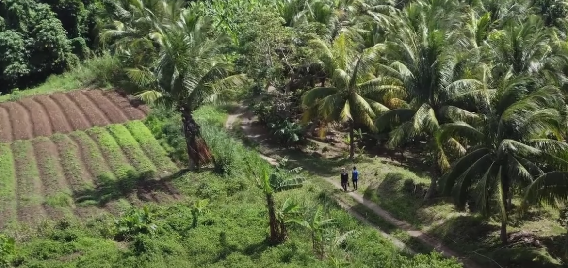 Small Countries, Big Dreams: Meet the Women Powering the Islands